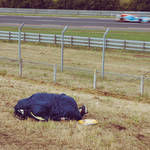 automotive advertising photographer car le mans Alex Shore Audi | Le Mans