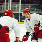  Alex Shore cardiff devils
