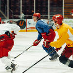  Alex Shore cardiff devils