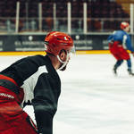  Alex Shore cardiff devils