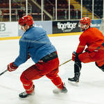  Alex Shore cardiff devils