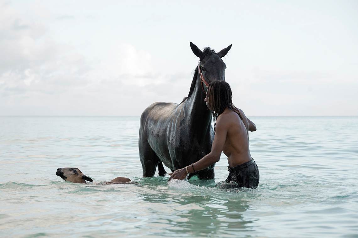  Alex Shore pebbles beach | barbados