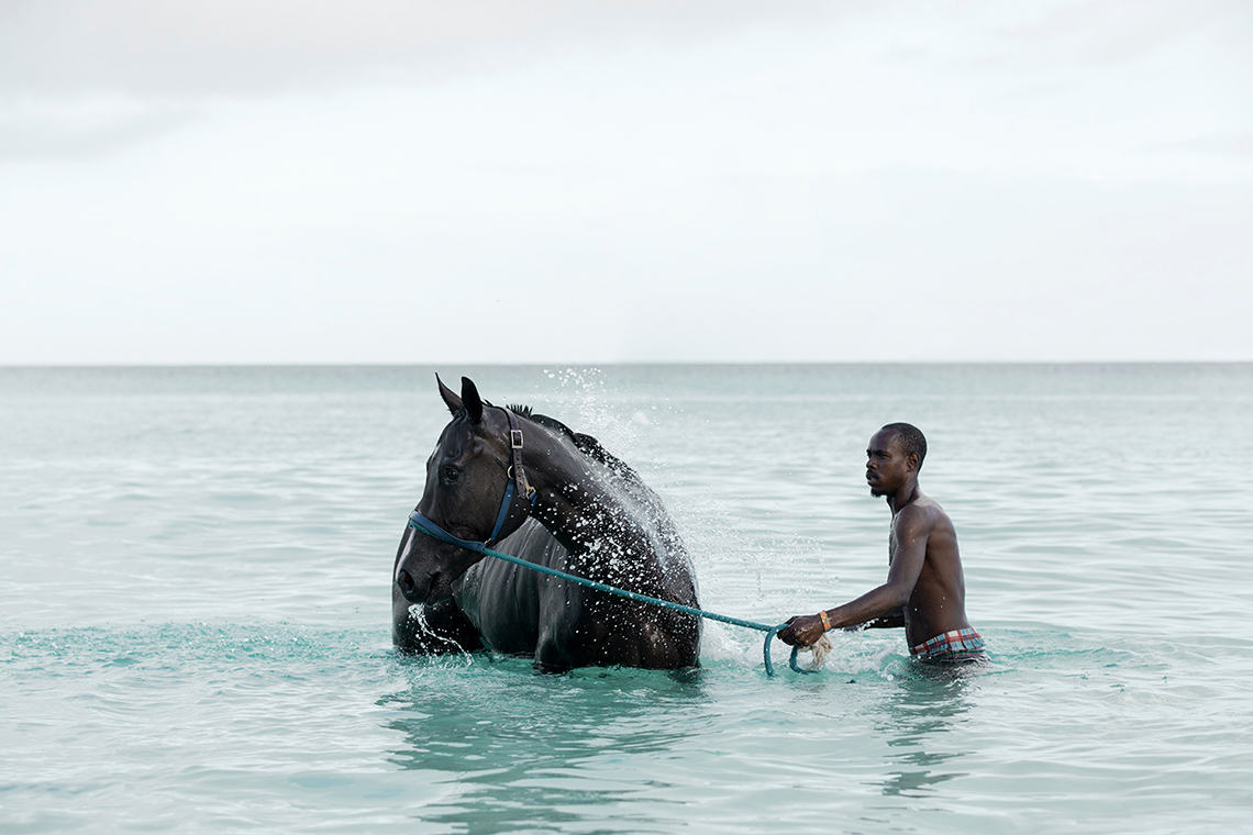  Alex Shore pebbles beach | barbados