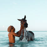  Alex Shore pebbles beach | barbados