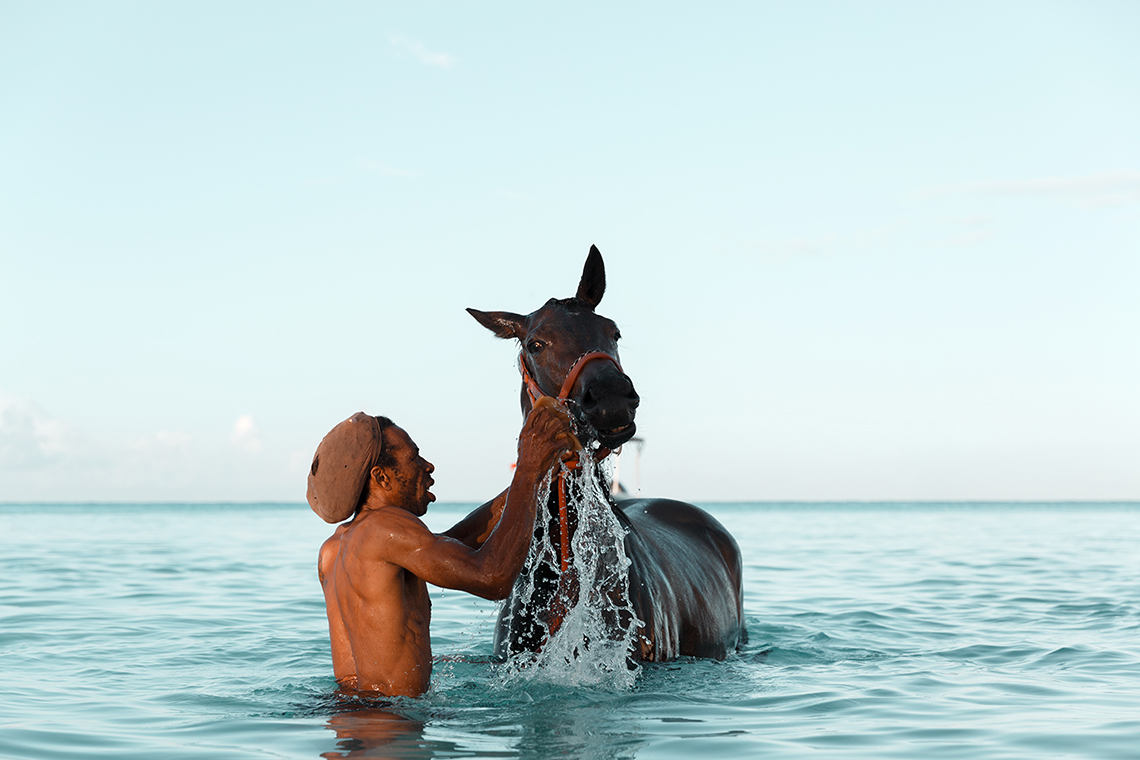  Alex Shore pebbles beach | barbados