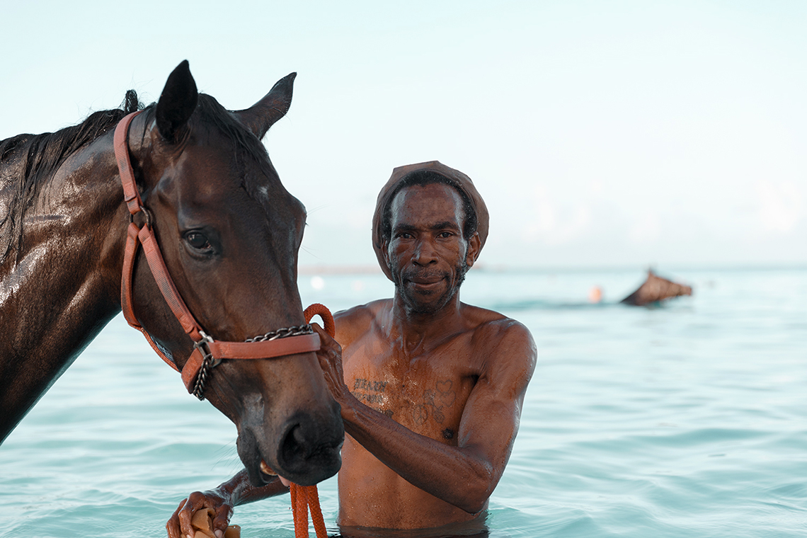 Alex Shore pebbles beach | barbados
