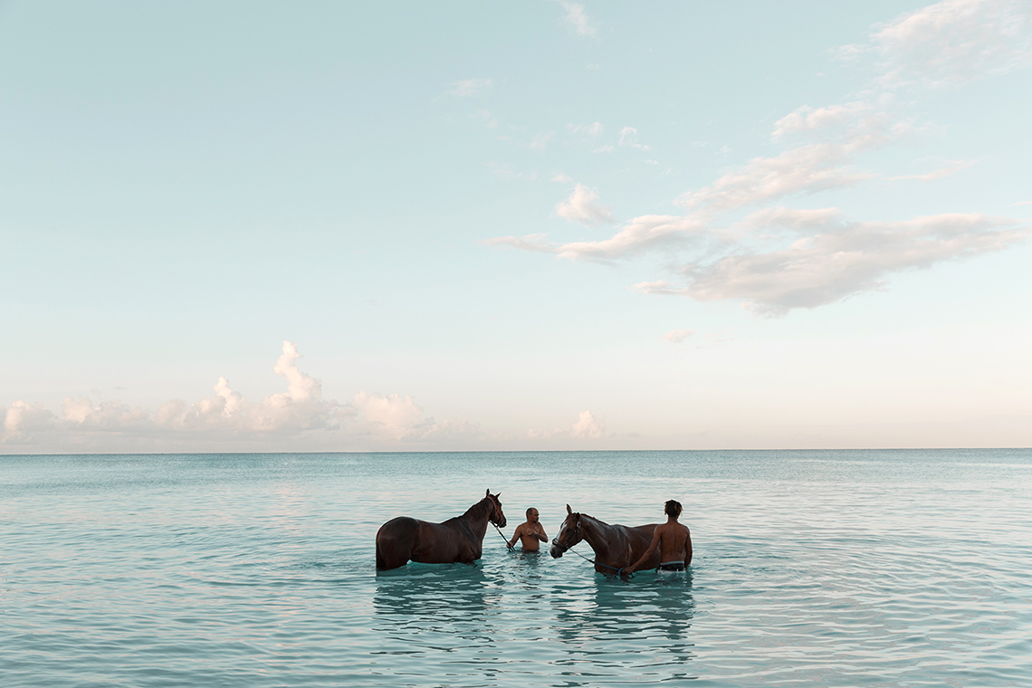  Alex Shore pebbles beach | barbados